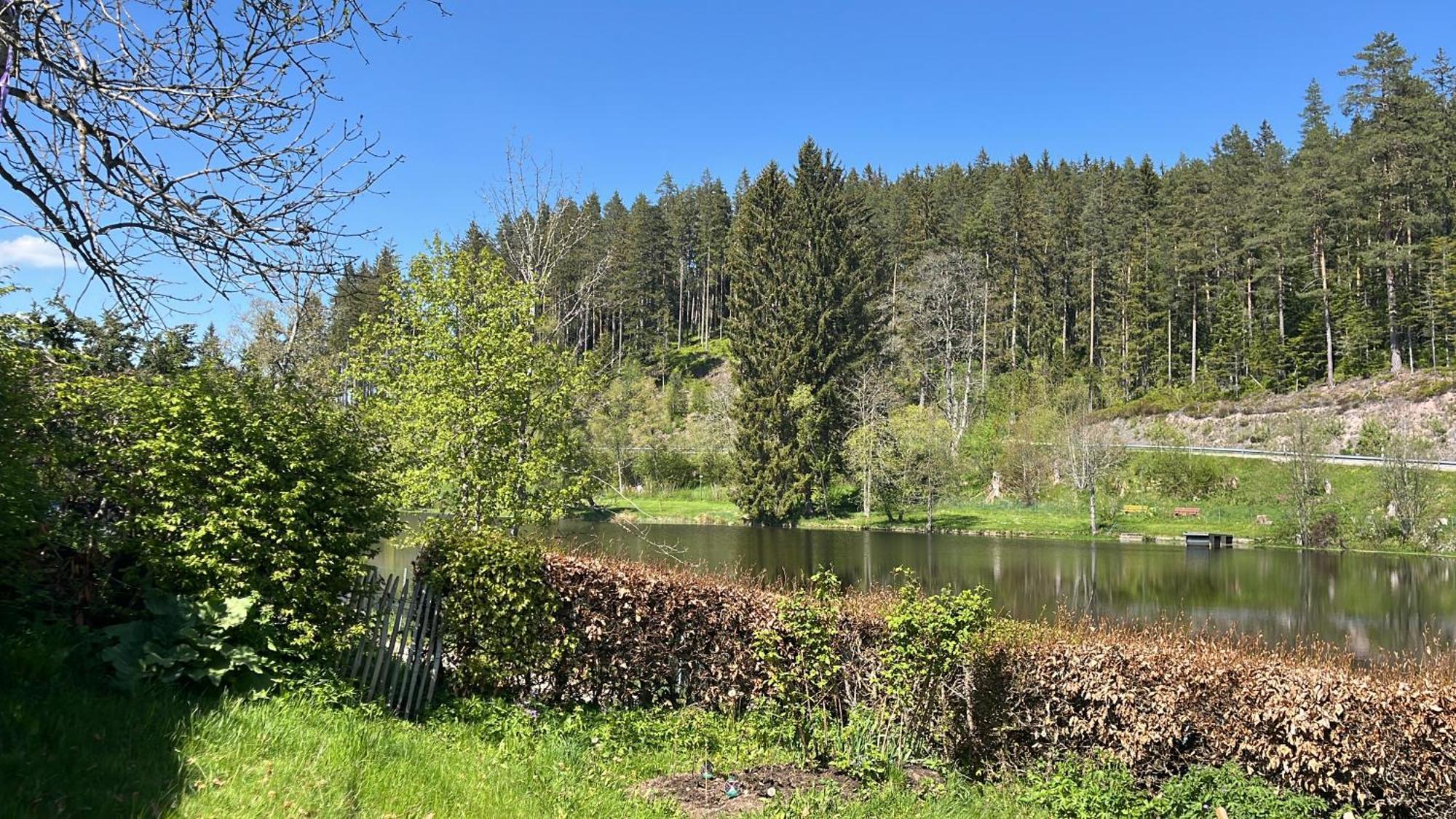 Haus Am See - Natur Pur Friedenweiler Kültér fotó
