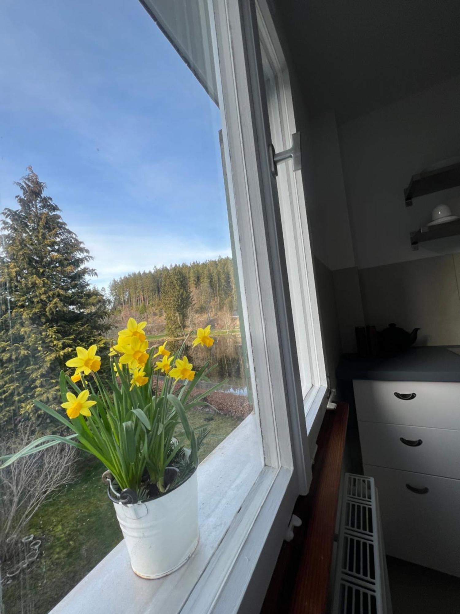 Haus Am See - Natur Pur Friedenweiler Kültér fotó