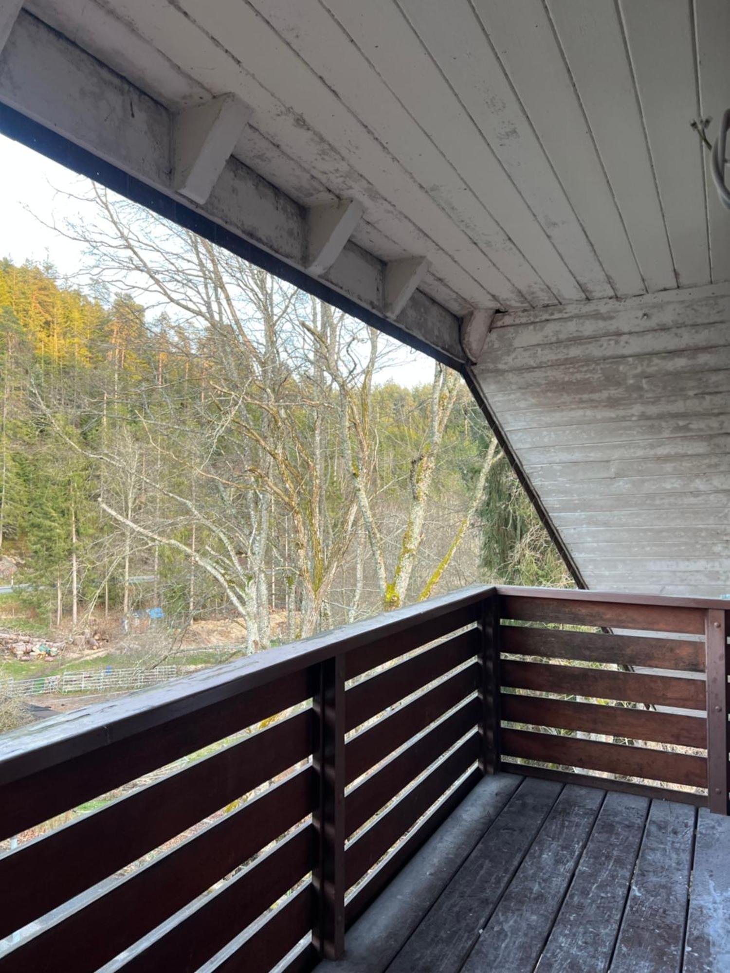 Haus Am See - Natur Pur Friedenweiler Kültér fotó