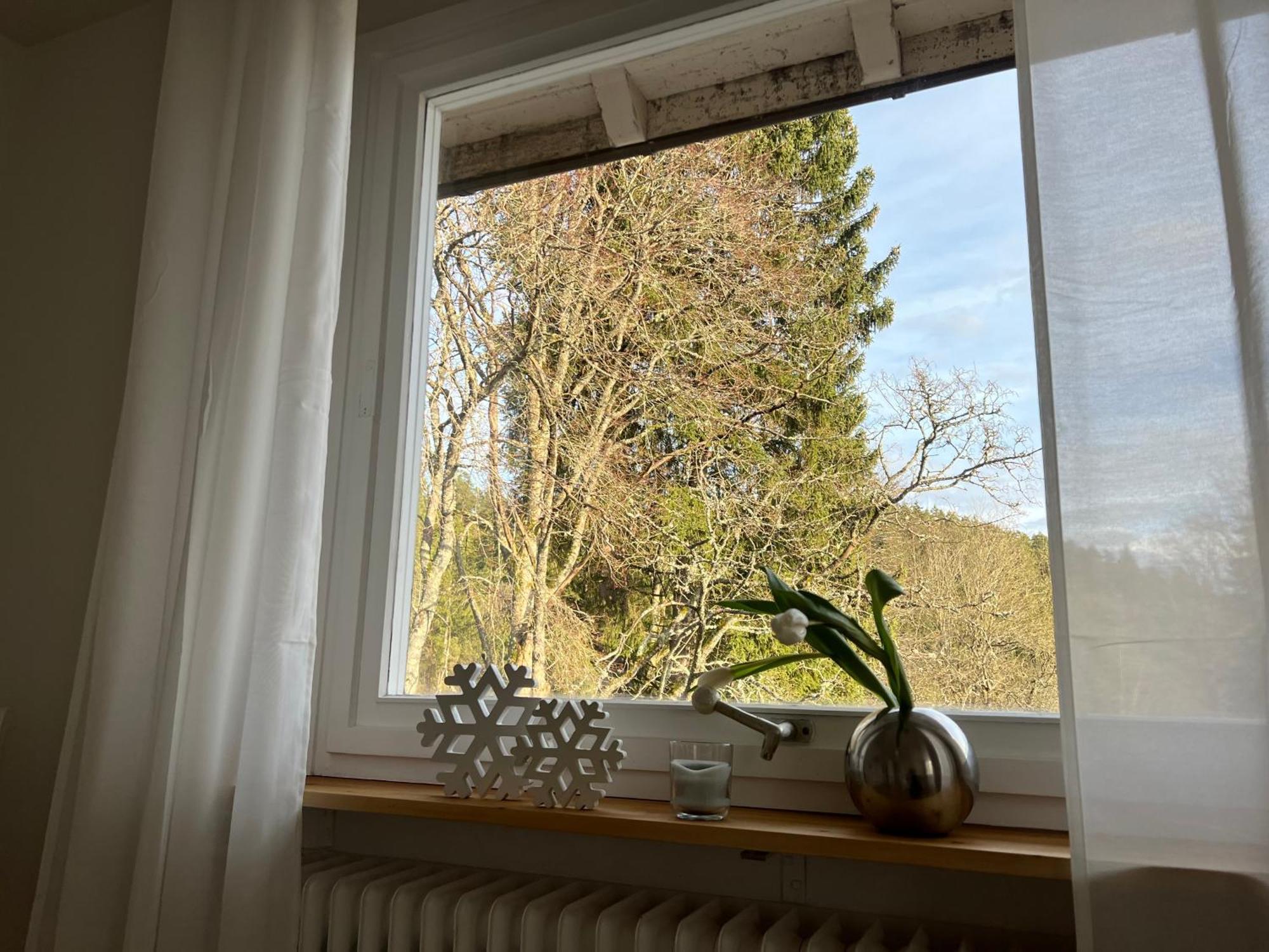 Haus Am See - Natur Pur Friedenweiler Kültér fotó