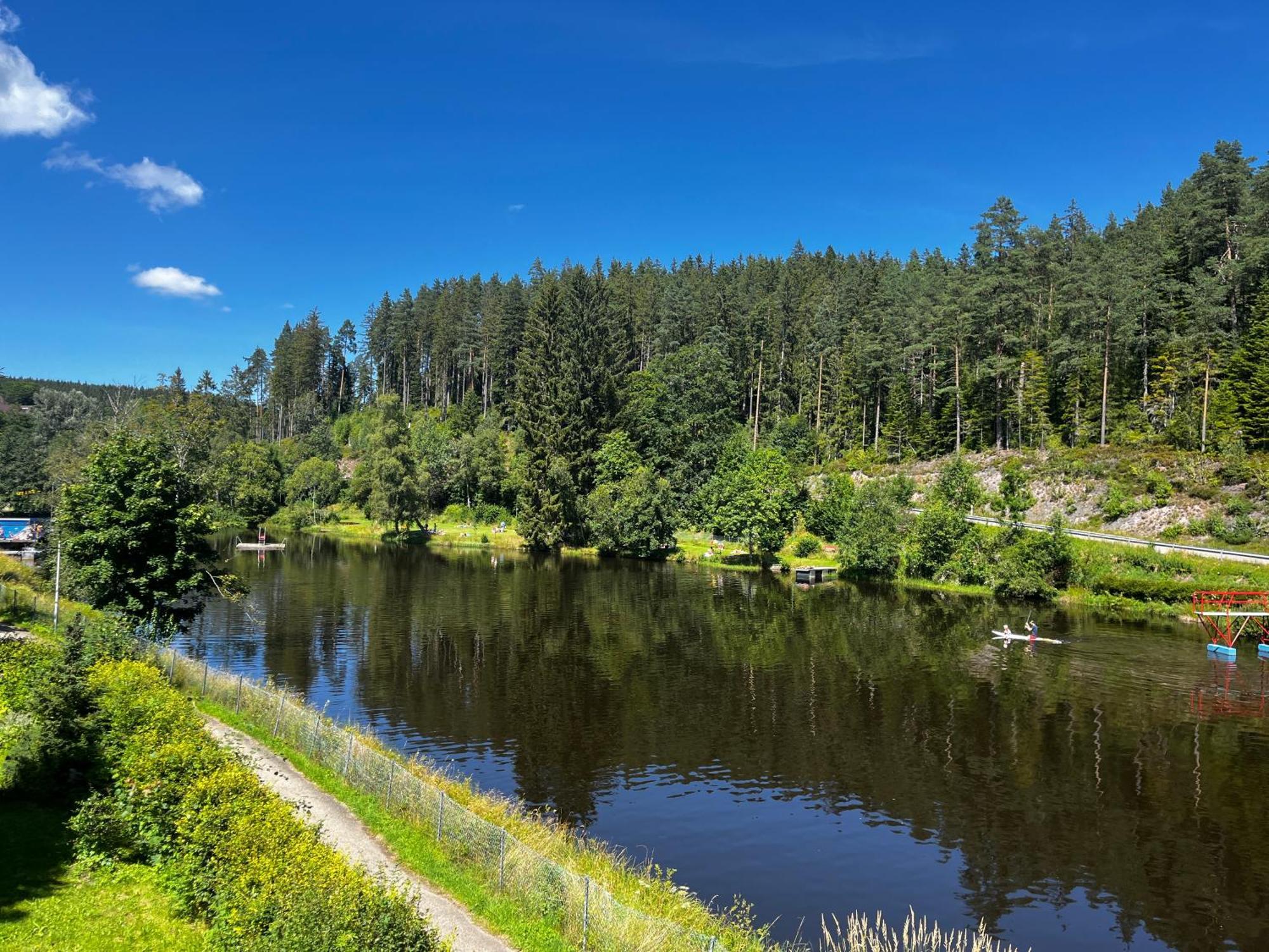 Haus Am See - Natur Pur Friedenweiler Kültér fotó