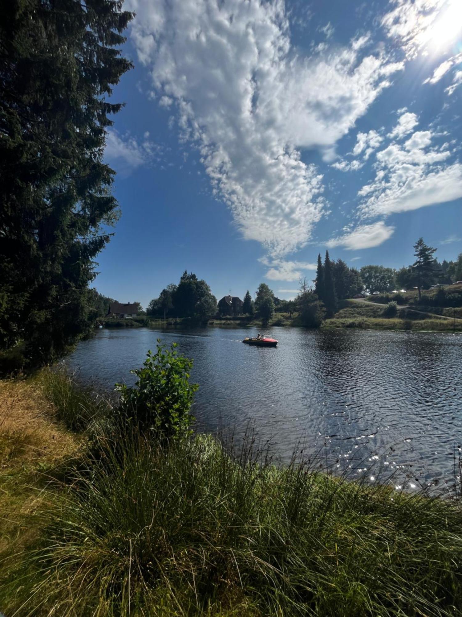 Haus Am See - Natur Pur Friedenweiler Kültér fotó