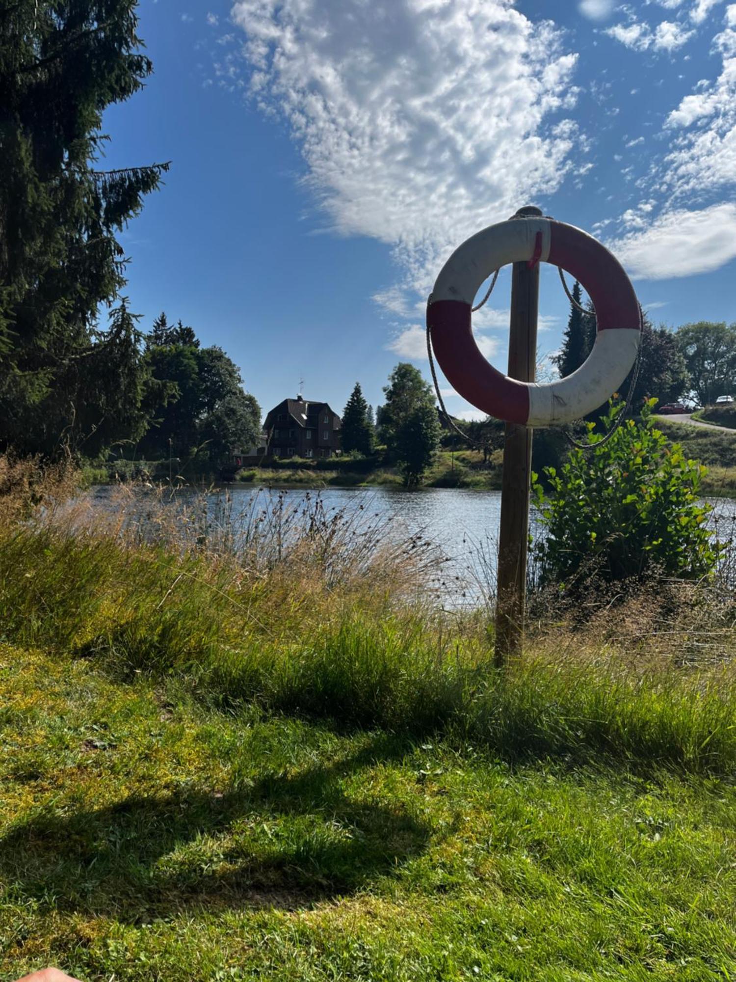 Haus Am See - Natur Pur Friedenweiler Kültér fotó