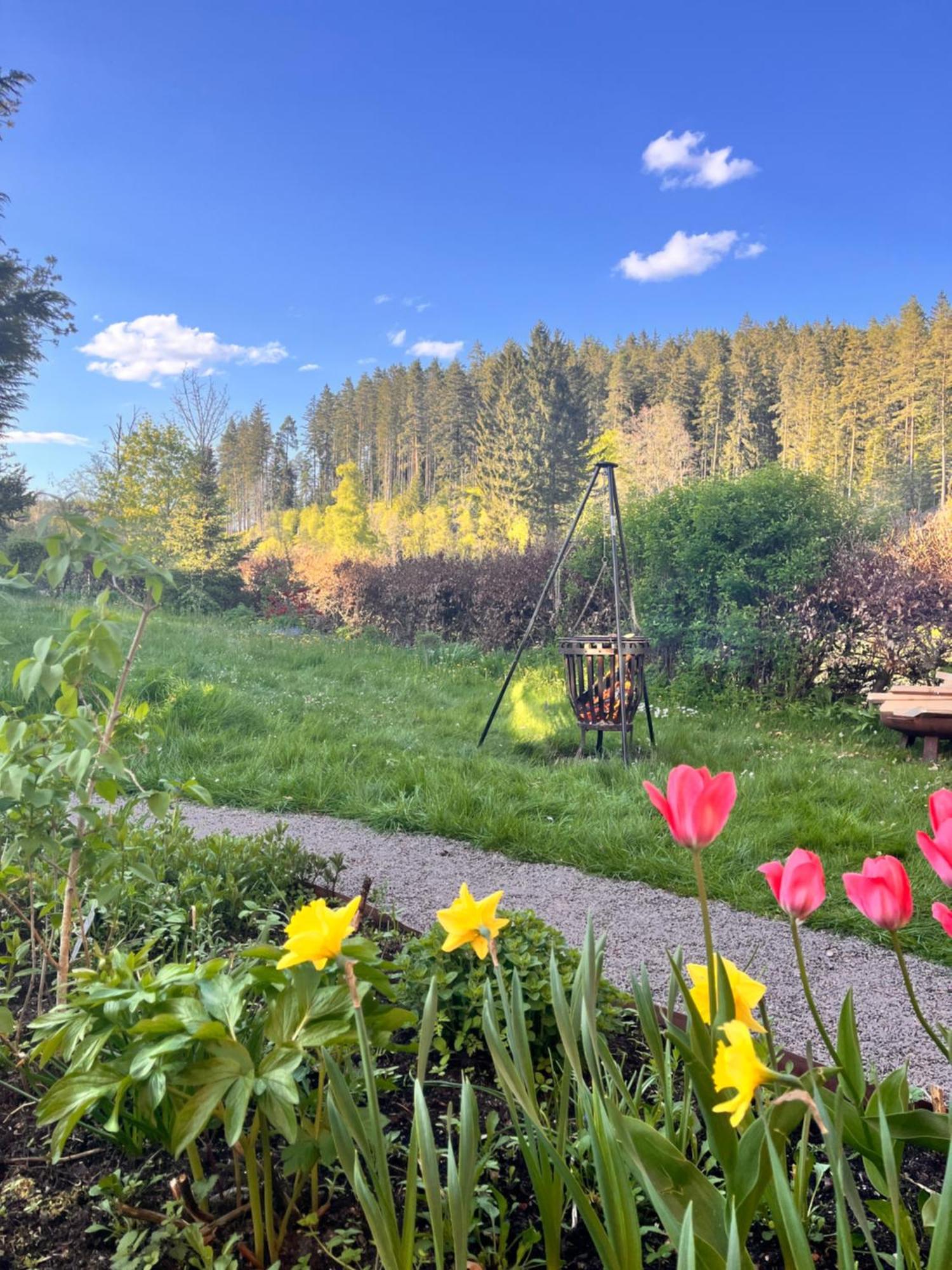 Haus Am See - Natur Pur Friedenweiler Kültér fotó