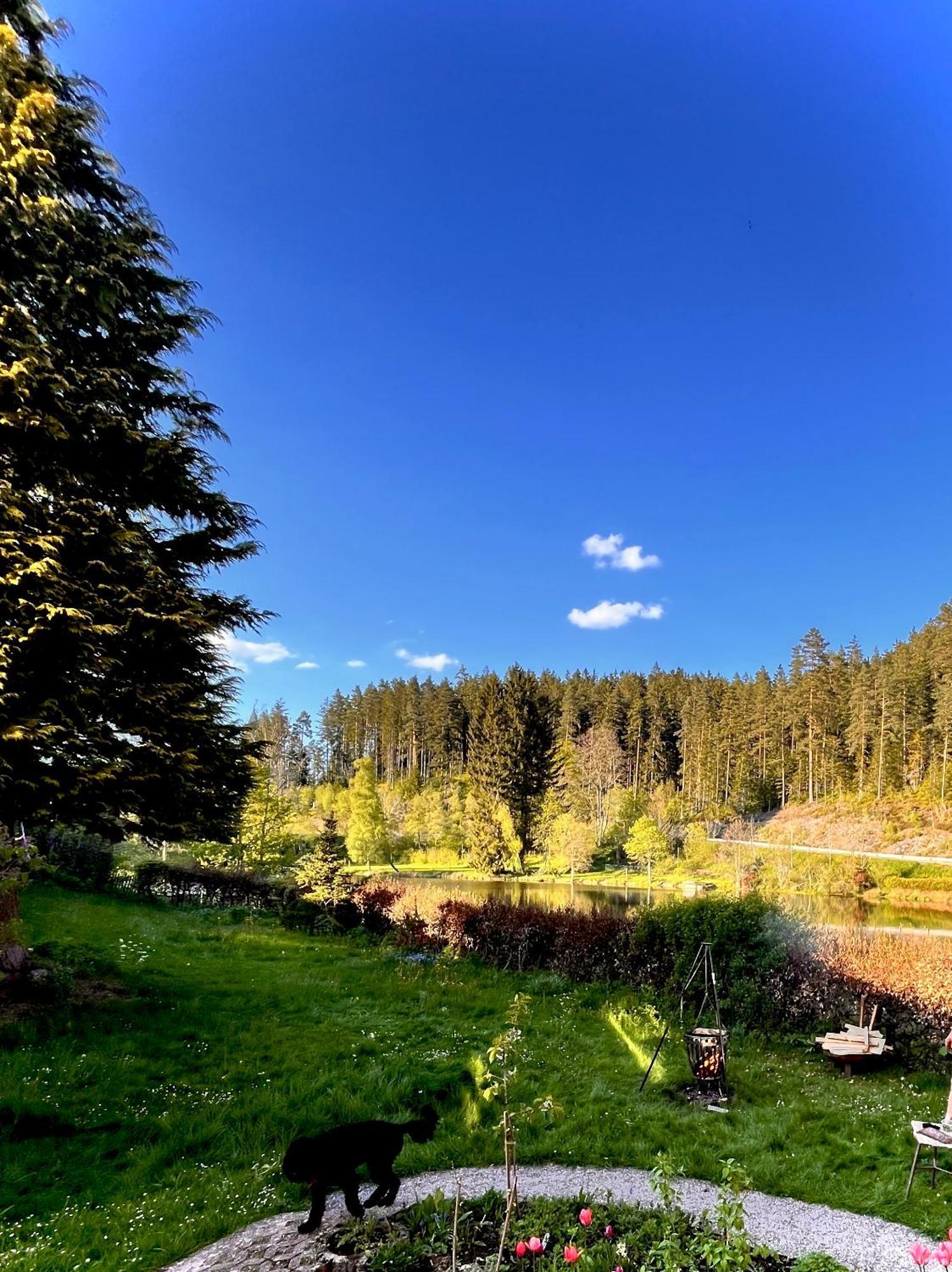 Haus Am See - Natur Pur Friedenweiler Kültér fotó